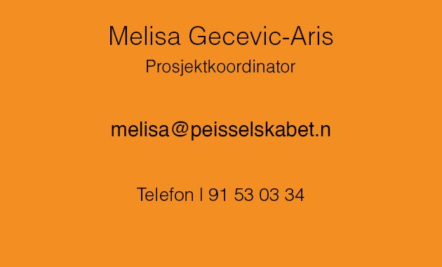 Melisa Gecevic-Aris, Prosjektkoordinator Peisselskabet