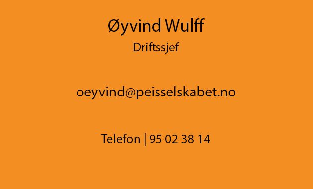 Øyvind Wulff, Driftssjef i Peisselskabet