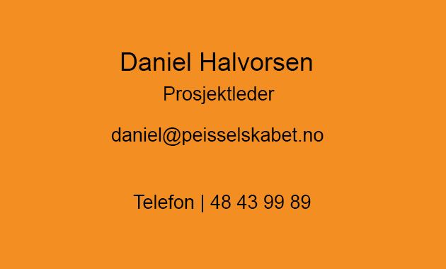 Daniel Halvorsen, Prosjektleder i Peisselskabet